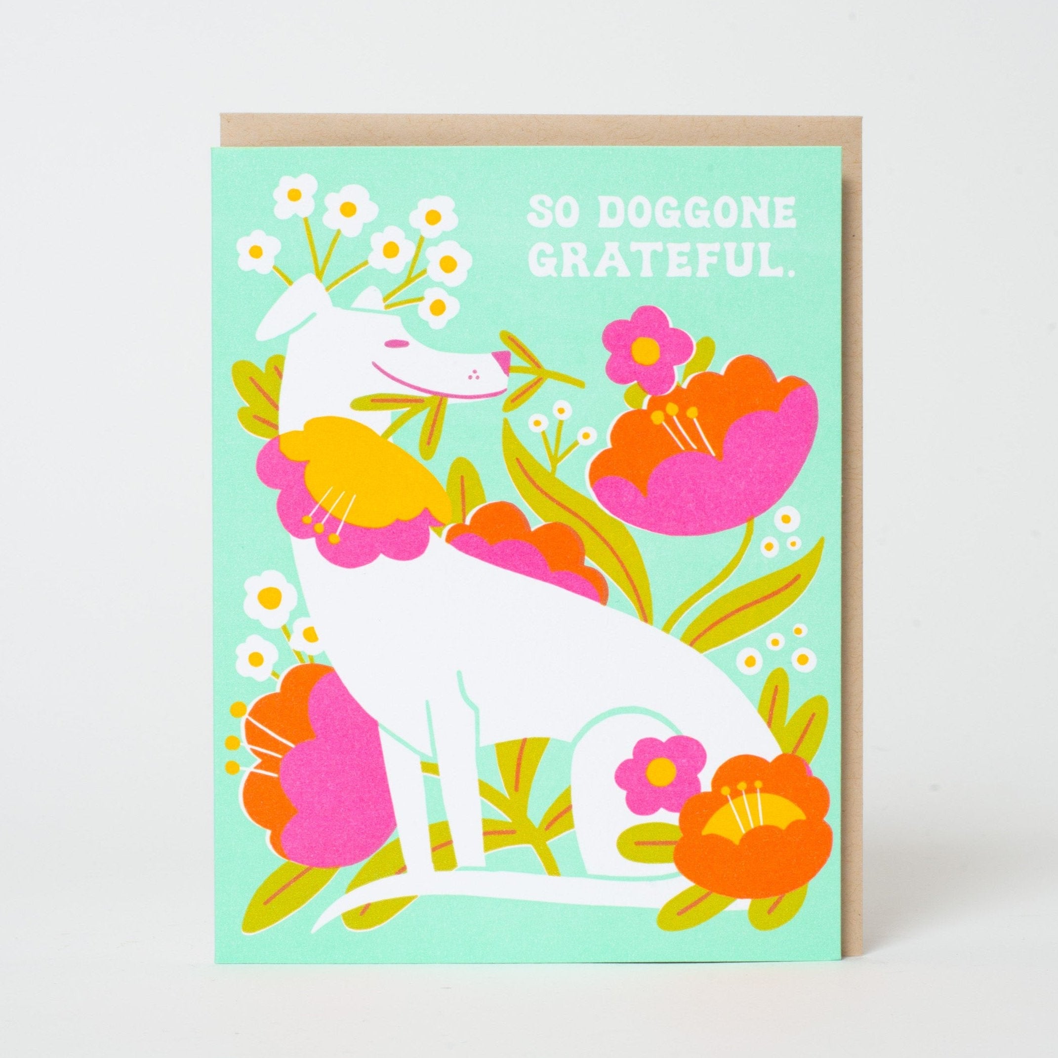 Doggone Grateful Thanks Greeting Card Box Set
