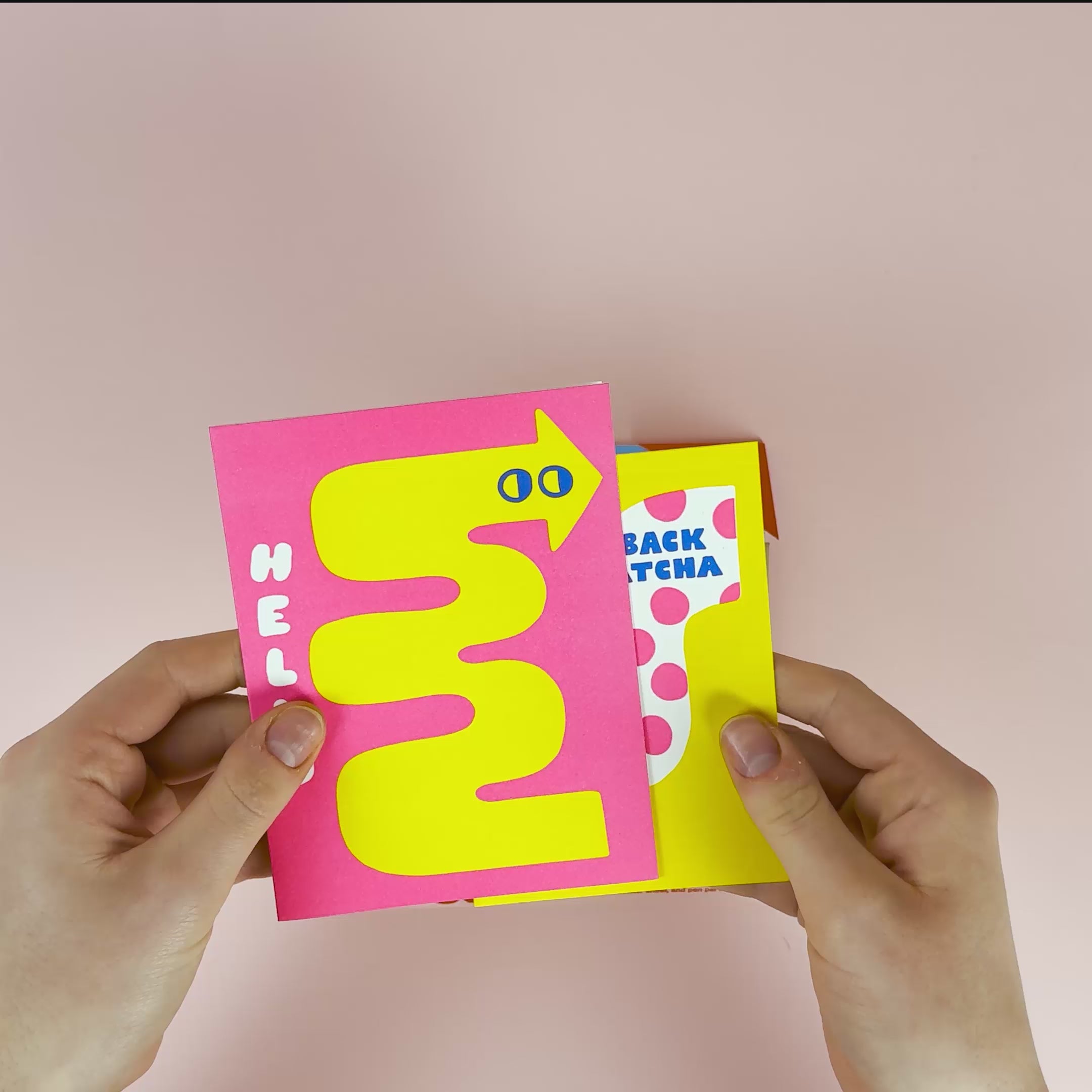 Write Me Back! Pen Pal Kit (Appreciate You + Flowers)